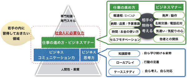 若手の内に習得しておきたい領域