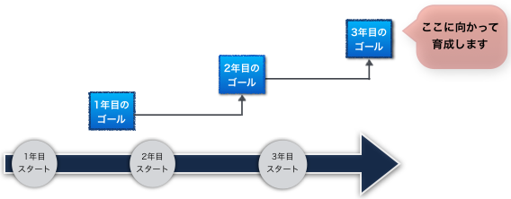 1年目～3年目までの育成イメージ